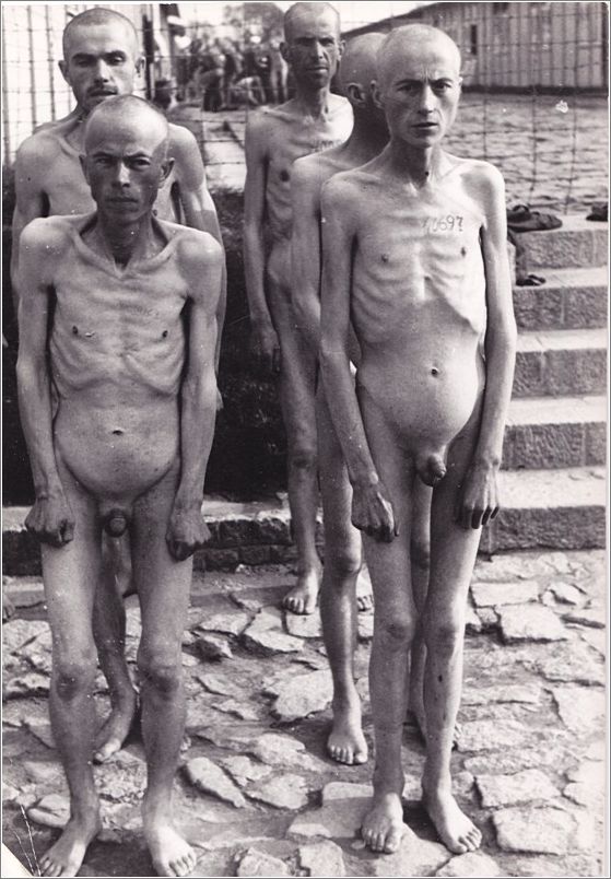 Tattooed and emaciated inmates of Mauthausen